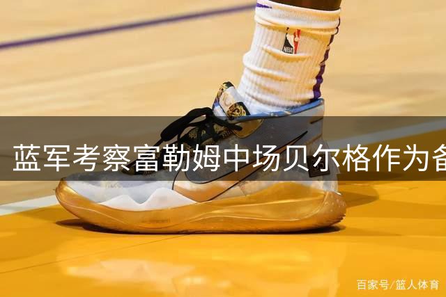 蓝军考察富勒姆中场贝尔格作为备选方案